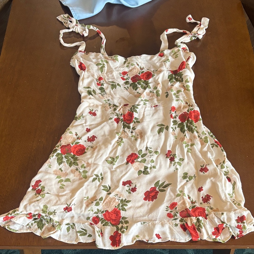 Reformation Cream Mini Dress with Red Rose Print and Green Leaves